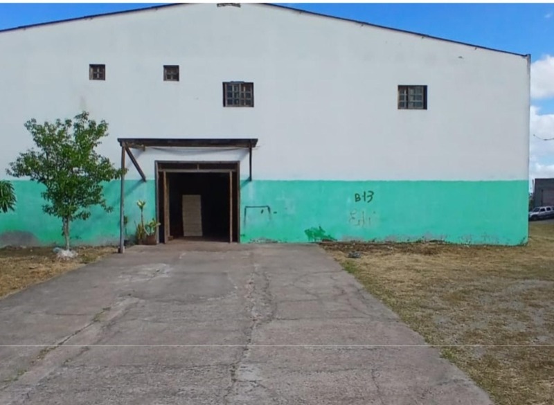 LOTE 007