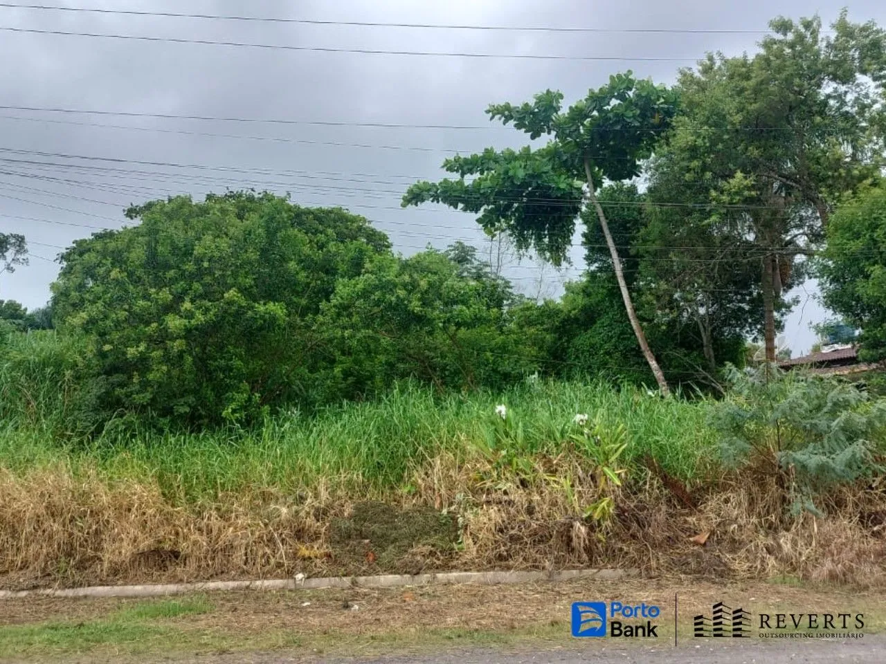 Terreno em Ilha Comprida/SP