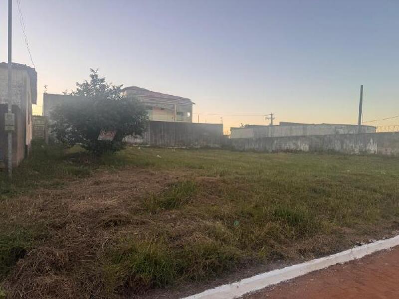 Lote 019