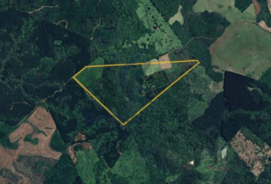 GUARAPUAVA/PR - Imóvel rural área 242.025m² no distrito de Guairacá.