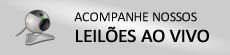 Leilão judicial estadual on-line comarca de rondonópolis (mt)