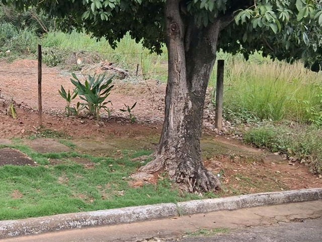 Terreno - minaçu | goiás