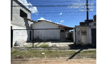 Paulista - pau amarelo