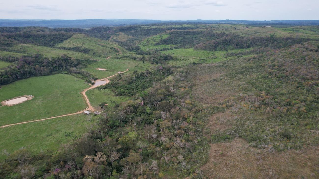 Lote 14: área rural com 68,826900 ha - setor rio branco alta floresta d'oeste ro