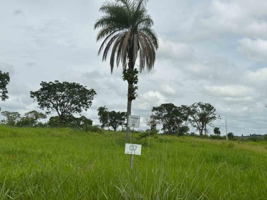 Sicoob - chácara 07, quadra 08, localizada na rua g, no chacreamento espelho d’água, em abaeté/mg, com área total de 1.000,00 m², matrícula nº 29.186 do cri de abaeté/mg.
