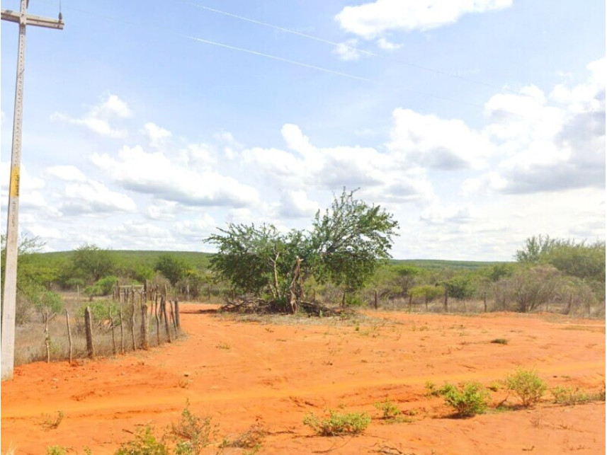 Área rural à venda em leilão
