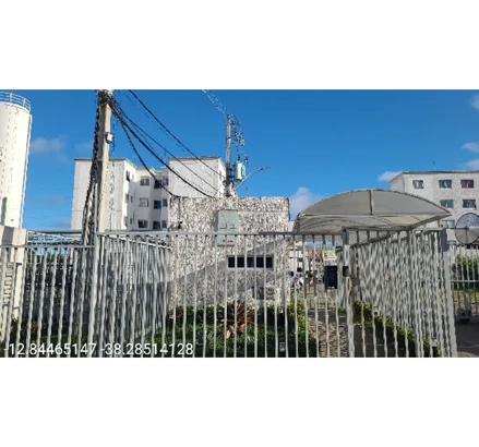 Vila romana ii
