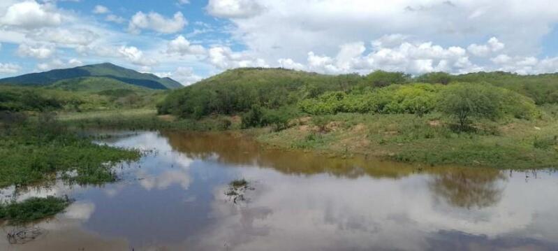 Lote 018